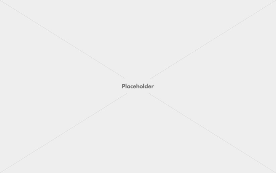 Check out our awesome WordPress theme